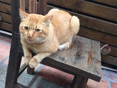 -老宅原住民沙茶面精品小吃(龙头路店)