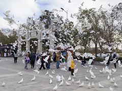 -天津妈祖文化园