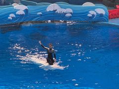 -海合安成都极地海洋公园