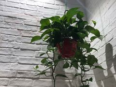 -权味·朝鲜族拌饭(勒泰店)