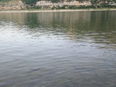 -天鹅湖生态旅游风景区