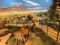 -陕西自然博物馆