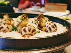 盐焗花螺-新荣记(椒江店)