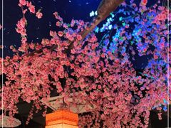 -荷塘秋月·本帮江浙菜(国权路店)