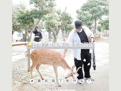 -鹿境梅花鹿生态园区