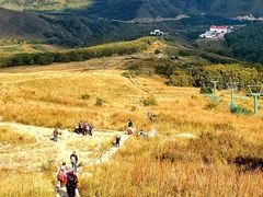 -灵山