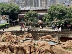 -昆明动物园