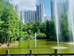 -广州珠江公园