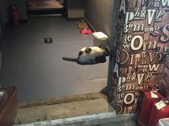 -AOE 火焰 剧本密室狼人杀