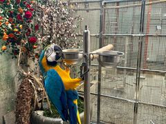 -观桥阁(锦溪店)