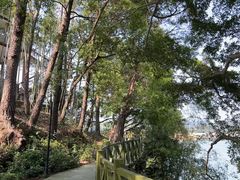 -广州市流溪河国家森林公园