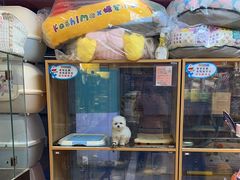 -FAELING PETS美天灵宠物(富力广场店)