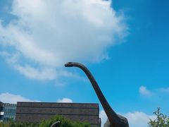 -安徽省地质博物馆