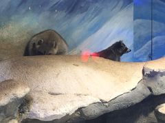 -华夏文旅海洋公园