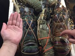 -金巴兰鱼市场