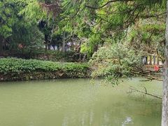 -玉苍山国家森林公园