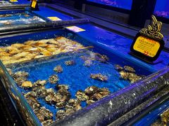 -万宝海鲜舫(劳动公园店)