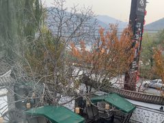 -慢丽江·云南野生菌土鸡锅(西山店)