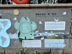 -深圳湾公园(南山区)
