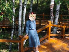 -塞罕坝国家级自然保护区