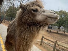 -杭州野生动物世界