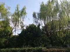 -上海中医药大学附属曙光医院(东部)