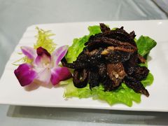 酱爆鳝背-德兴馆(广东路总店)
