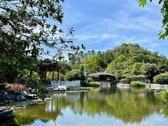 -顺峰山公园