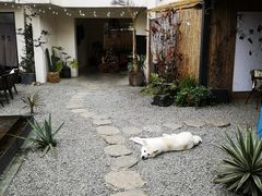 -云里小坐·小院里·团建·宴请·下午茶(三圣乡店)