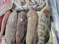 -鸿港海鲜批发市场