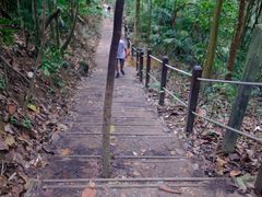 -武吉知马自然保护区