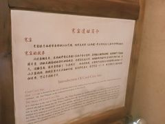 -西安曲江寒窑遗址公园