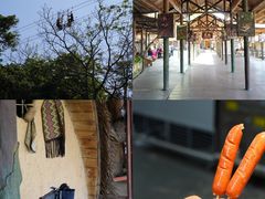 -海南槟榔谷黎苗文化旅游区