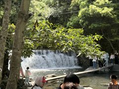 -石台牯牛降景区