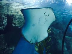 -福州罗源湾海洋世界旅游区