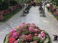 -徐家汇公园