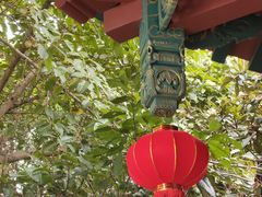 -富乐山