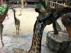 -长鹿旅游休博园