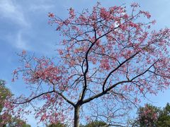 -广州市白云山风景名胜区
