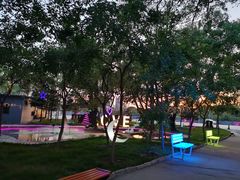 -枫花园汽车电影院(朝阳公园店)