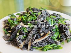 芫爆散丹-大顺堂食府(牛街店)