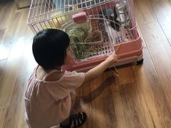 -藦茜花园宠物主题亲子互动体验馆(国顺东路店)