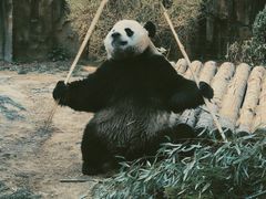 -大连森林动物园