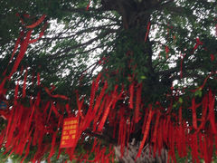 iphone_upload_pic-大佛禅院
