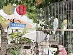 -水岸居湖景农家乐·阳澄湖大闸蟹