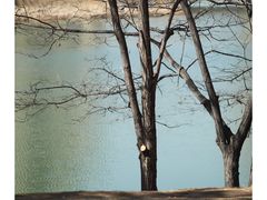 -森林公园(尖草坪区)