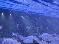 -M-MIX电音烤吧
