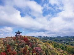-贵州百里杜鹃风景名胜区
