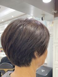 -镁连社·美联社