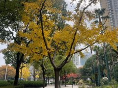 -上海不夜城广场(上海不夜城金融大厦店)